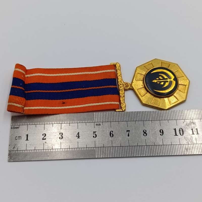 SADF Pro Patria medal - fixed type #217058