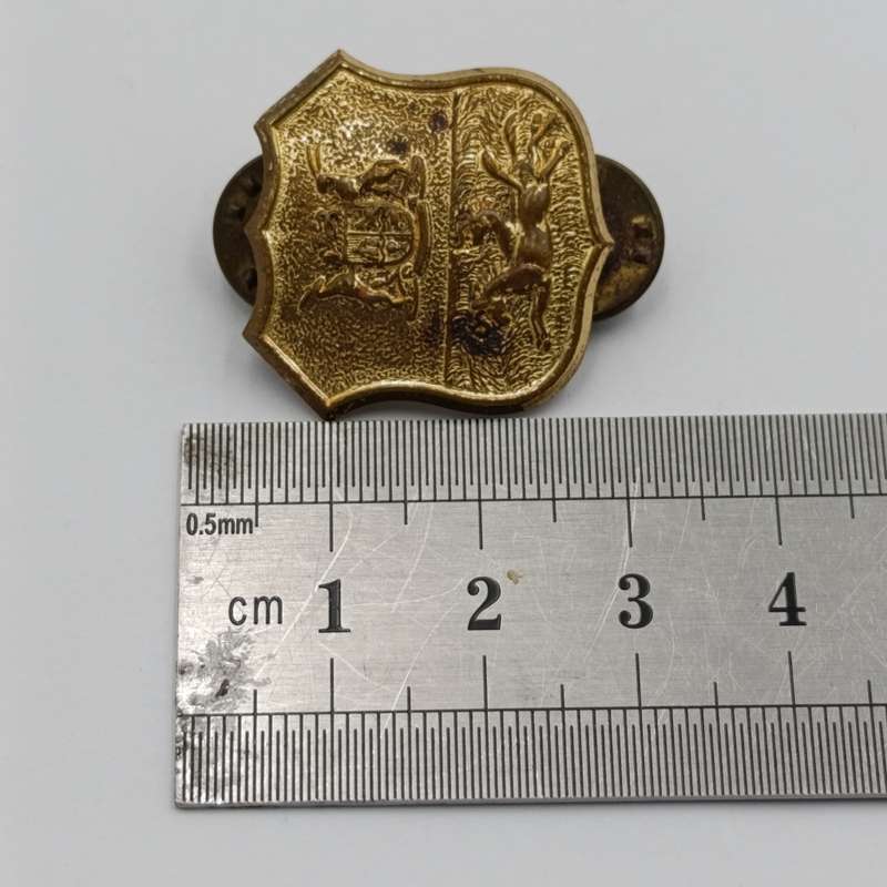 Lot of 2 different types of Durban Light infantry badges
