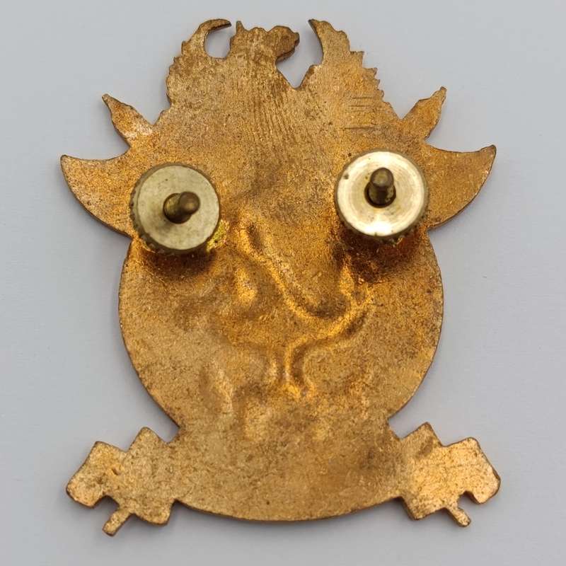 South African Civil Defence badge