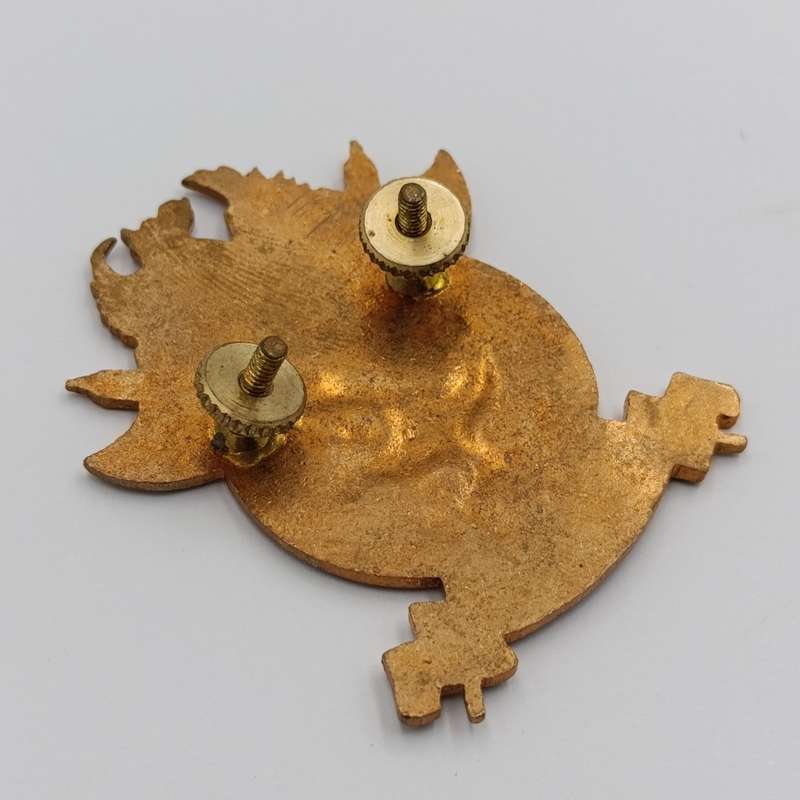 South African Civil Defence badge