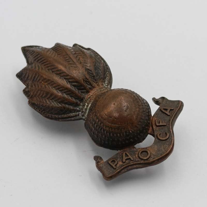 Prince Alfred's Own Cape Field Artillery collar badge
