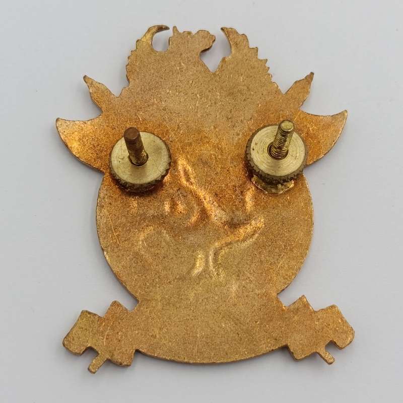 South African Civil Defence badge