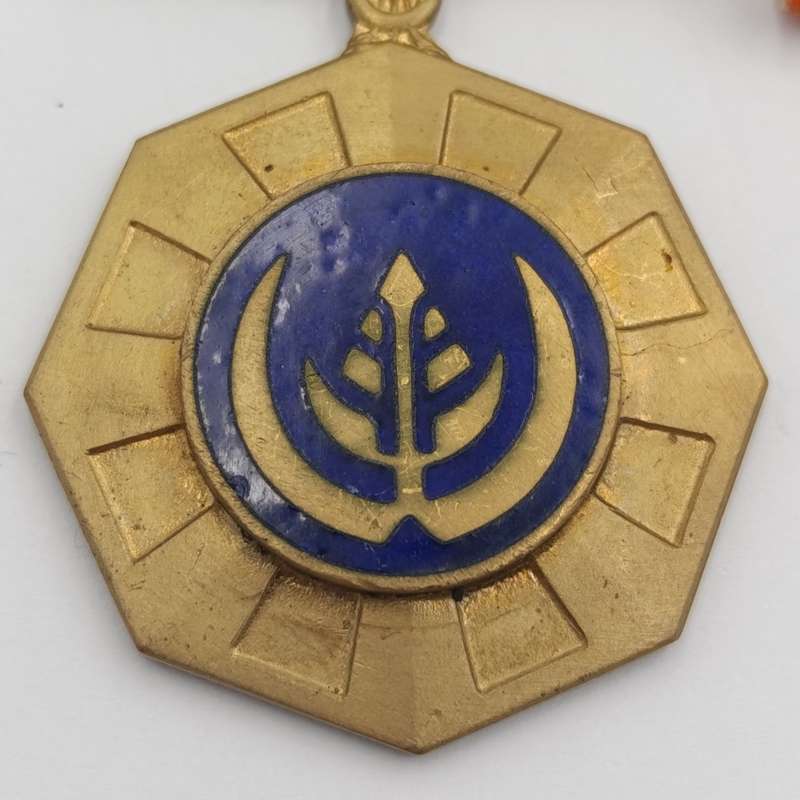 SADF Pro Patria medal in box #154854 fixed type