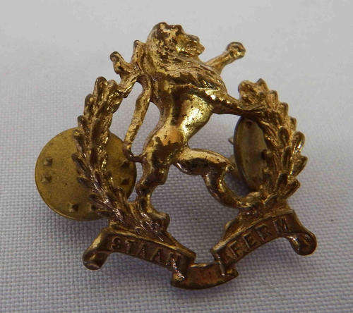SA Regiment Highveld Brass ( Gilded ) collar badge - Approved in 1963 - as per photo