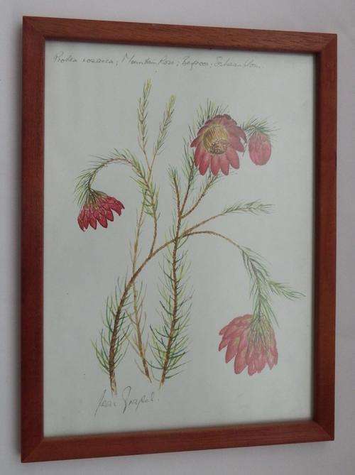 Framed print of flowers by Jean Grapel - as per photo