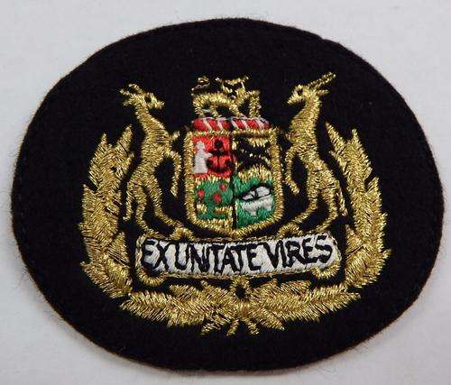 S.A.A.F. Warrant Officer class 1 cloth rank badge - as per photo