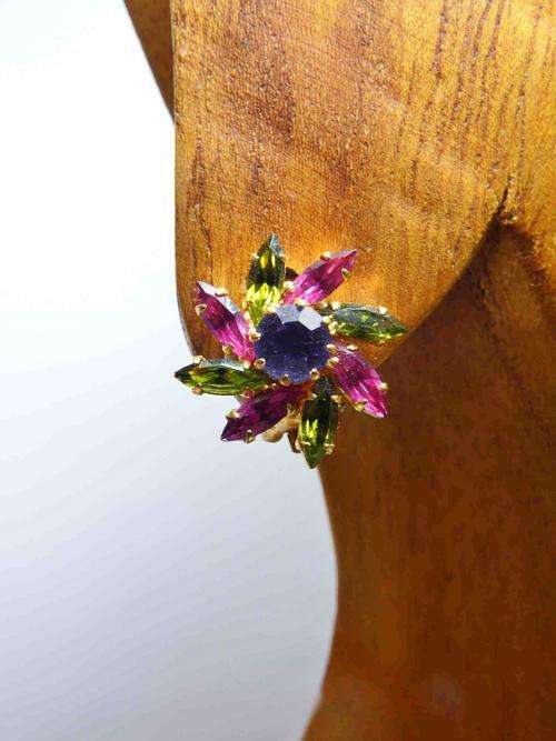 Beautiful colorful flower clip on earrings - @ CRAZY R1 start
