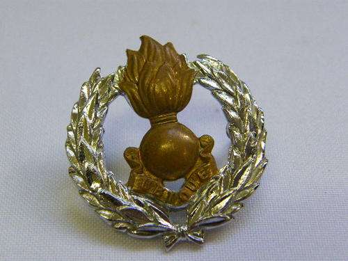 SA Engineering Corps cap badge - as per photo