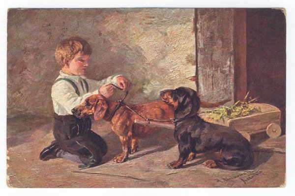 Postcard - Boy tying dogs to cart