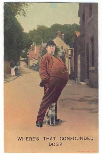 Postcard - `Where`s that confounded dog?`