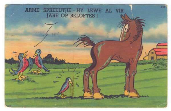Postcard - Afrikaans script : `Arme Spreeutjie - Hy lewe al vir jare op beloftes!`