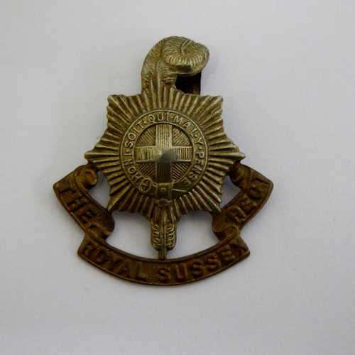 Great Britain Royal Sussex Regiment cap badge - Bi-metal with slide (broken)