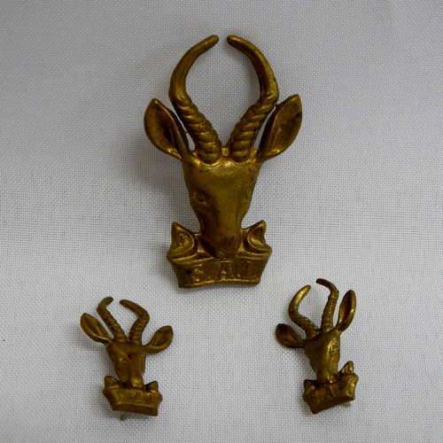 SA Infantry bokkop cap badge and collar badges - pin missing from one collar badge