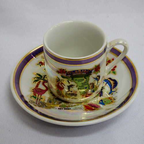 Florida cup and saucer