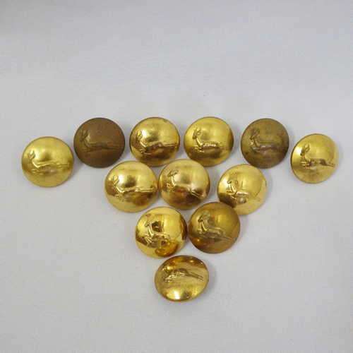 Lot of 12 SA Army buttons