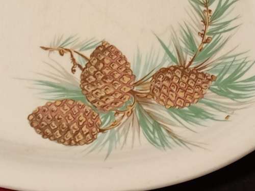 Hand painted plate