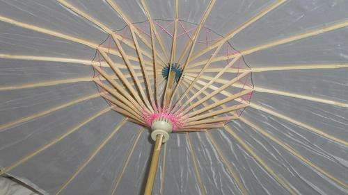 Small Parasols "Special"