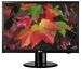 19" Flatron LG 1934S wide LCD monitor