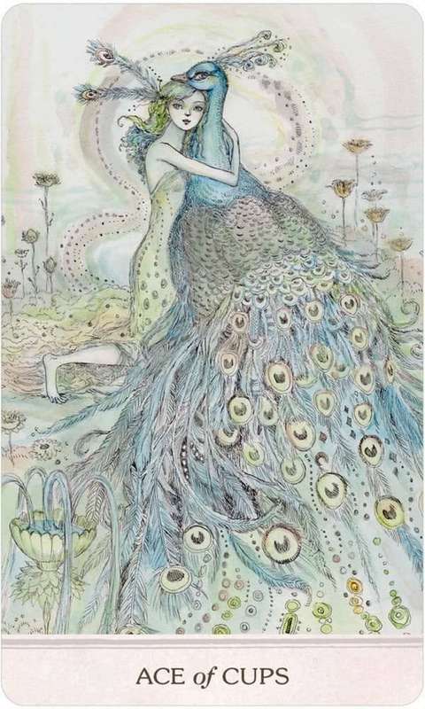 PHANTASMA TAROT 78 CARDS LARGE DECK & GUIDEBOOK