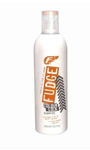 Fudge Colour Lock Shampoo, 300ml
