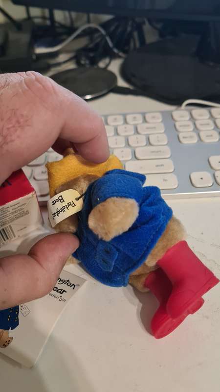 Paddington Bear