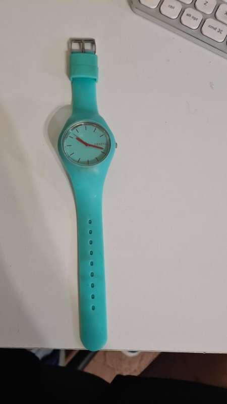Geneva Watch