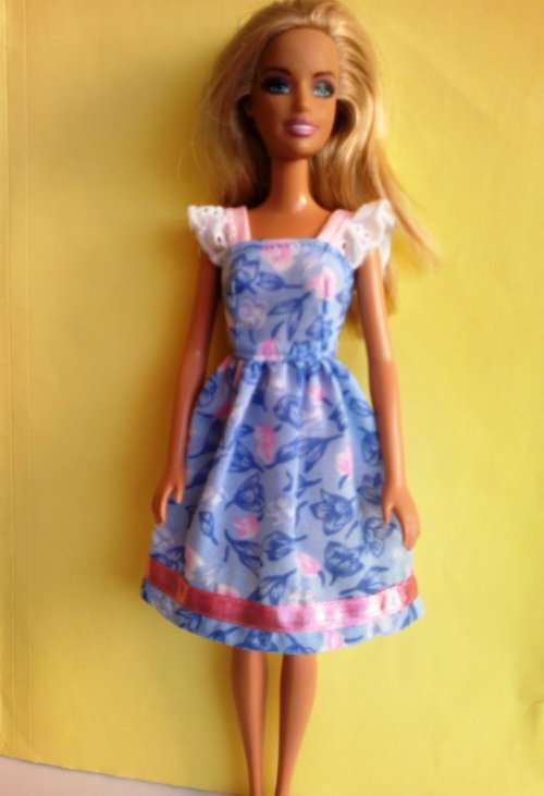 Barbie blue and pink floral dress.