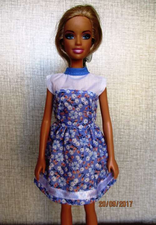Barbie dress - blue and white.