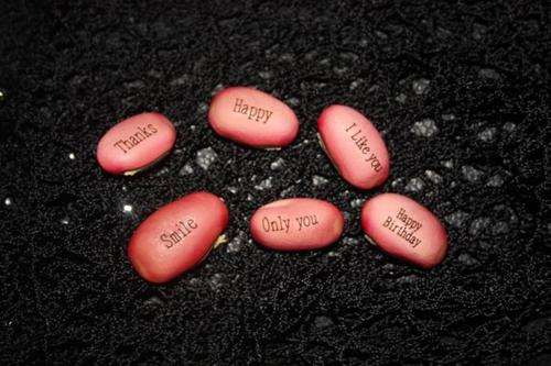 MAGIC BEANS