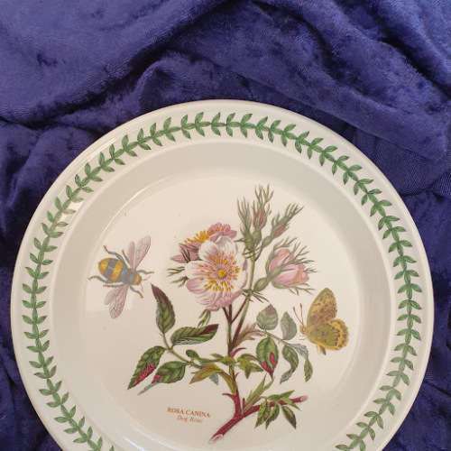 PORTMEIRON! Botanical plate 2