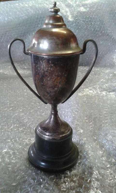 Vintage EPNS Trophy (21x11cm)
