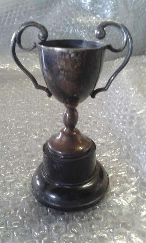 Vintage EPNS Trophy (12x8cm)