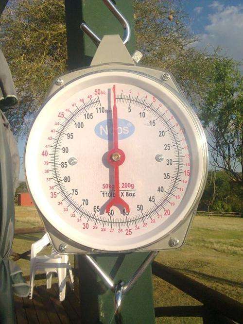 50 KG HANGING SCALE