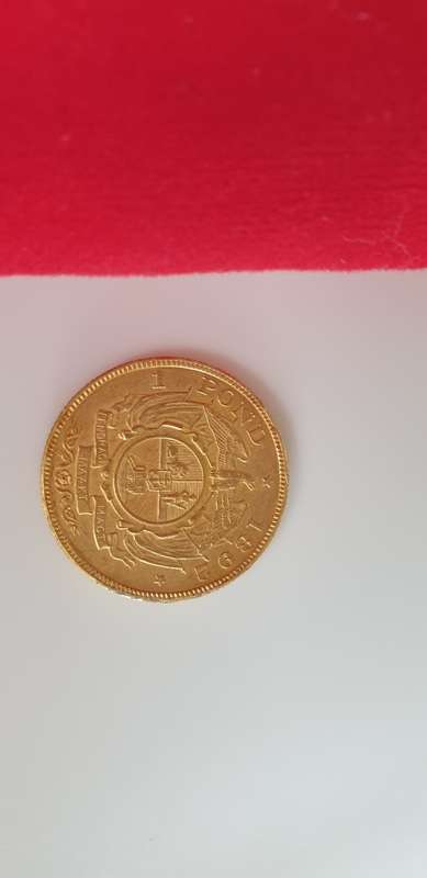 Kruger Pond Rand Gold - RARE Double Shaft - 1892 Gold Coin 1 Pond Kruger Rand Gold Pond