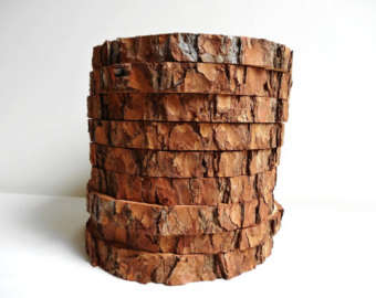 Tree slices with Bark Underplates