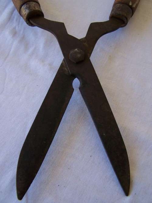 hedge cutter ...  from way back !!!