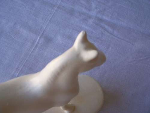 horse ... a white one !!!