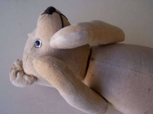 teddy ... a large one !!!
