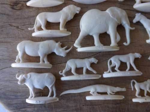 animals ... coca cola  !!!