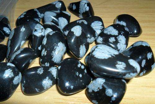 SNOWFLAKE OBSIDIAN FOR PROTECTION 12  TUMBELED STONES