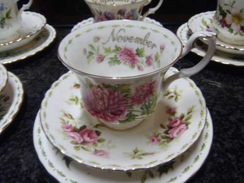Royal Albert Flowers of the Month November Duo