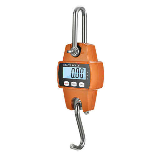 300Kg Portable Mini Crane Hanging Scale
