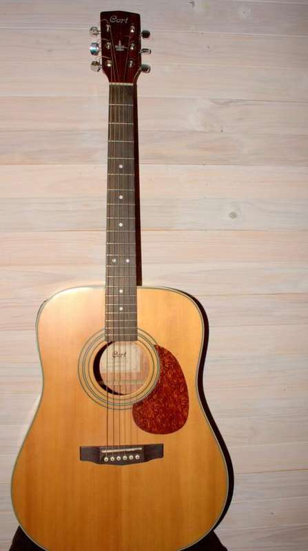 Cort Earth 70E-NS Including RockBag