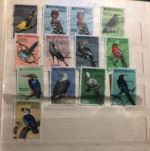 Botswana Animals and birds