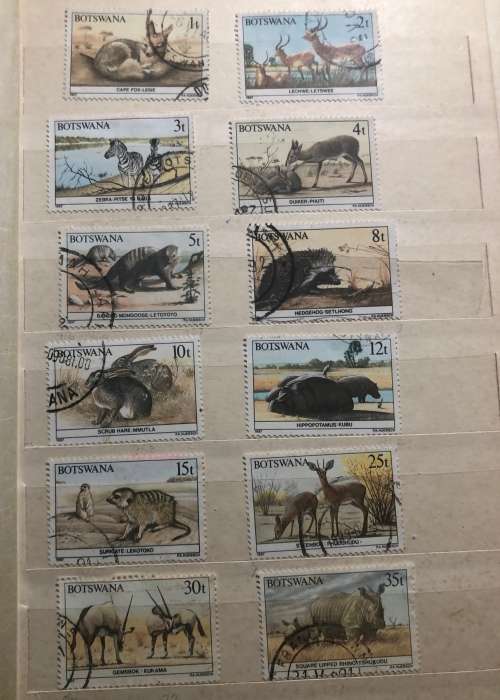 Botswana Animals and birds