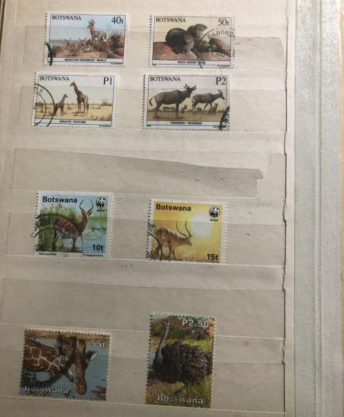 Botswana Animals and birds