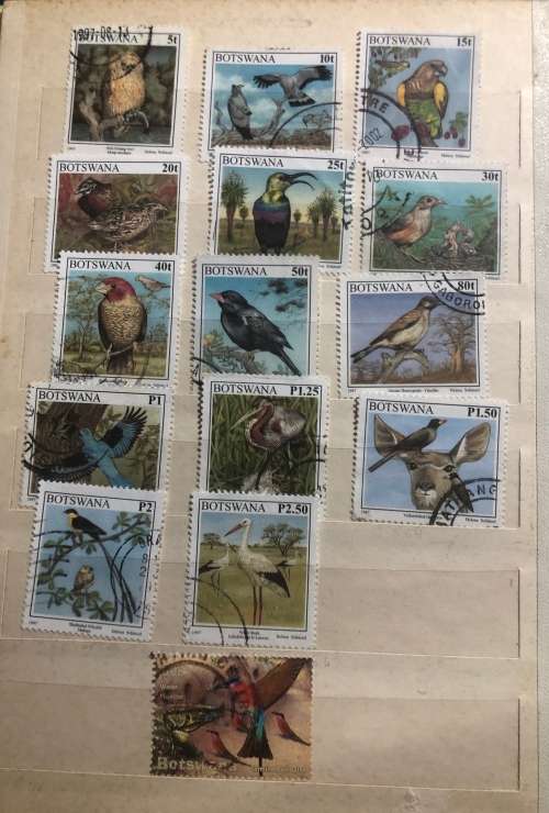 Botswana Animals and birds