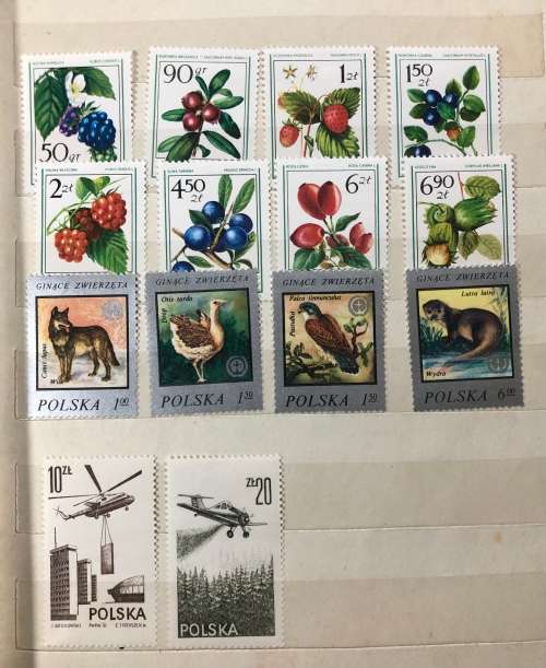 Poland - A5 album with MH stamps 1970`s mainly (100+)