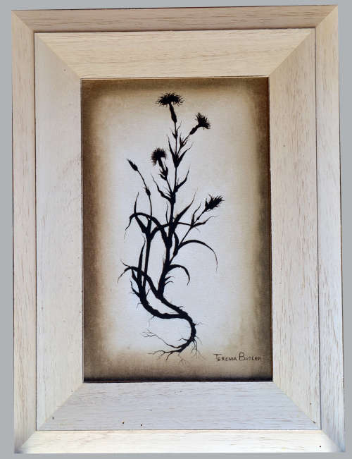 Terenia Butler (4/09/1946 - 10/01/2016) - "Carnation" - Oils