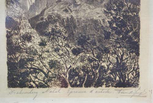 Tinus de Jongh - Famous .S.A. Artist  (1885 - 1942) - Signed Etching.